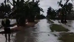 Banjir-Rendam-8-Hektare-Lahan-Pertanian-di-Toribulu-Parigi-Moutong.jpg