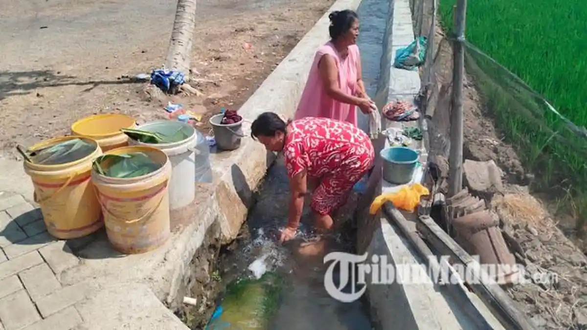 Sumur Kering Hampir Sebulan, Warga Jombang Mandi hingga Cuci Baju di Saluran Irigasi