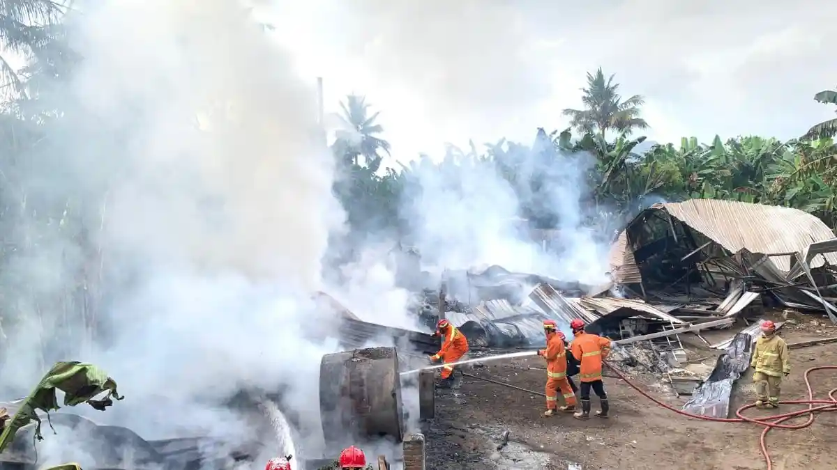 Kilang Penyulingan Daun Cengkeh di Watulimo Trenggalek Mendadak Terbakar, Kerugian Setengah Miliar