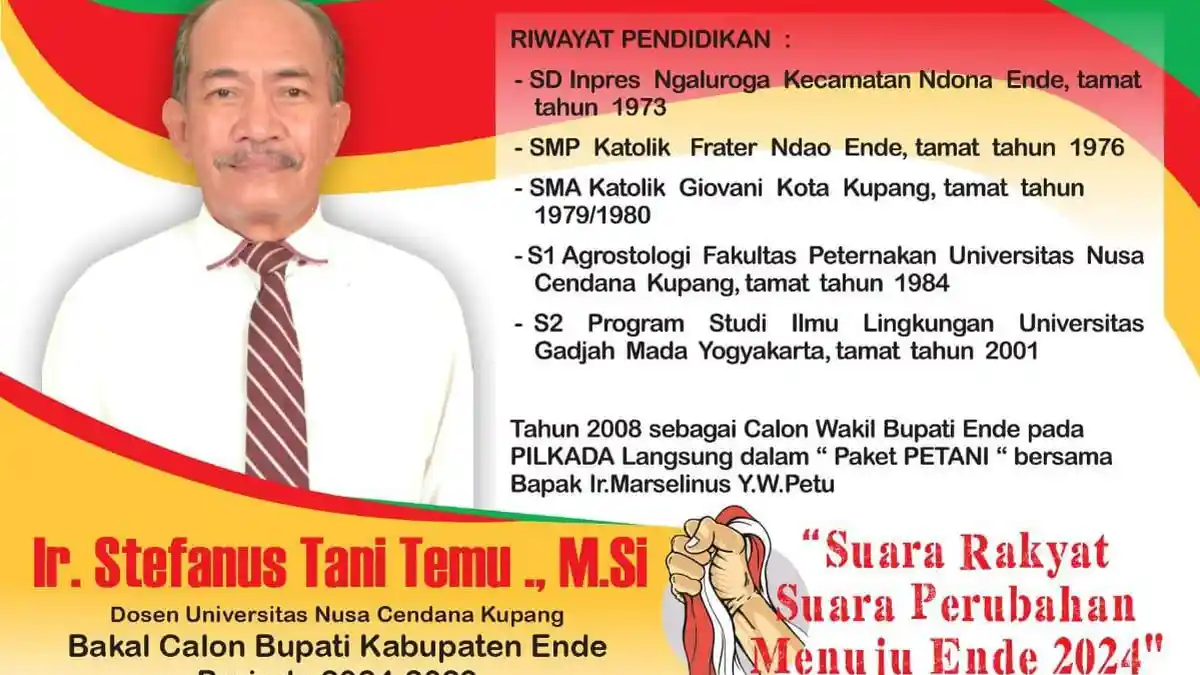 Profil Bakal Calon Bupati Ende Periode 2024-2029, Stefanus Tani Temu, Dosen Undana Kupang