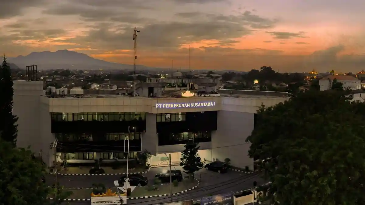 PTPN I Regional 7 Tolak Tegas Sertifikasi Pihak Lain Lahan 329,713 Ha di Tamansari Pesawaran - Tribunlampung.co.id
