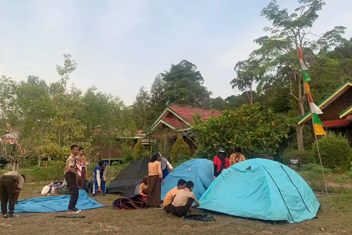Nasib Orangutan Kini, OIKN Ingin Ada Suaka Semi di Rimba Kota Sekitar IKN Nusantara
