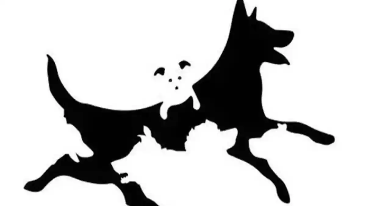 Tes Kepribadian: Tebak Ada Berapa Jumlah Anjing pada Gambar, Ungkap Karaktermu yang Sebenarnya