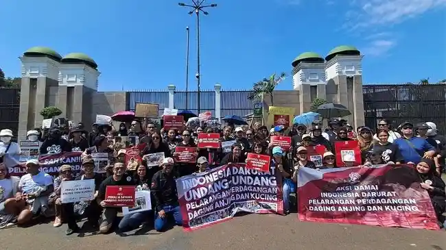 DMFI Dukung Pemprov DKI Terbitkan Pergub Larangan Perdagangan Daging Anjing dan Kucing