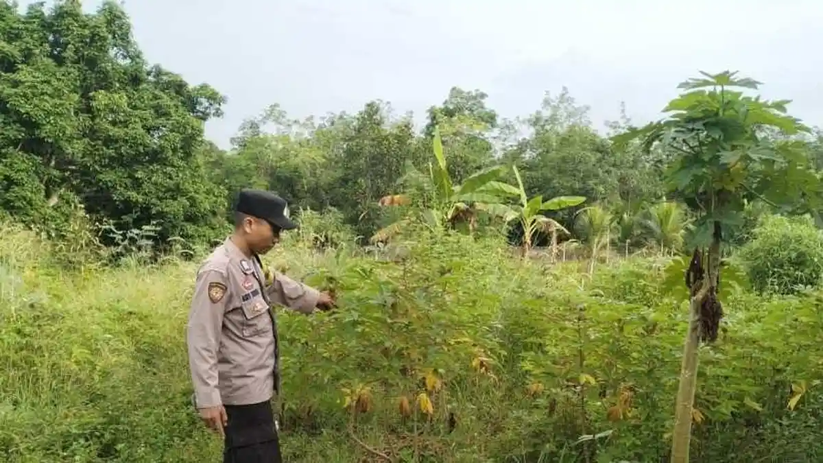 Bripka Ady Susilo Ajak dan Dampingi Warga Desa Rimba Terab dalam Pelaksanaan Program P2B