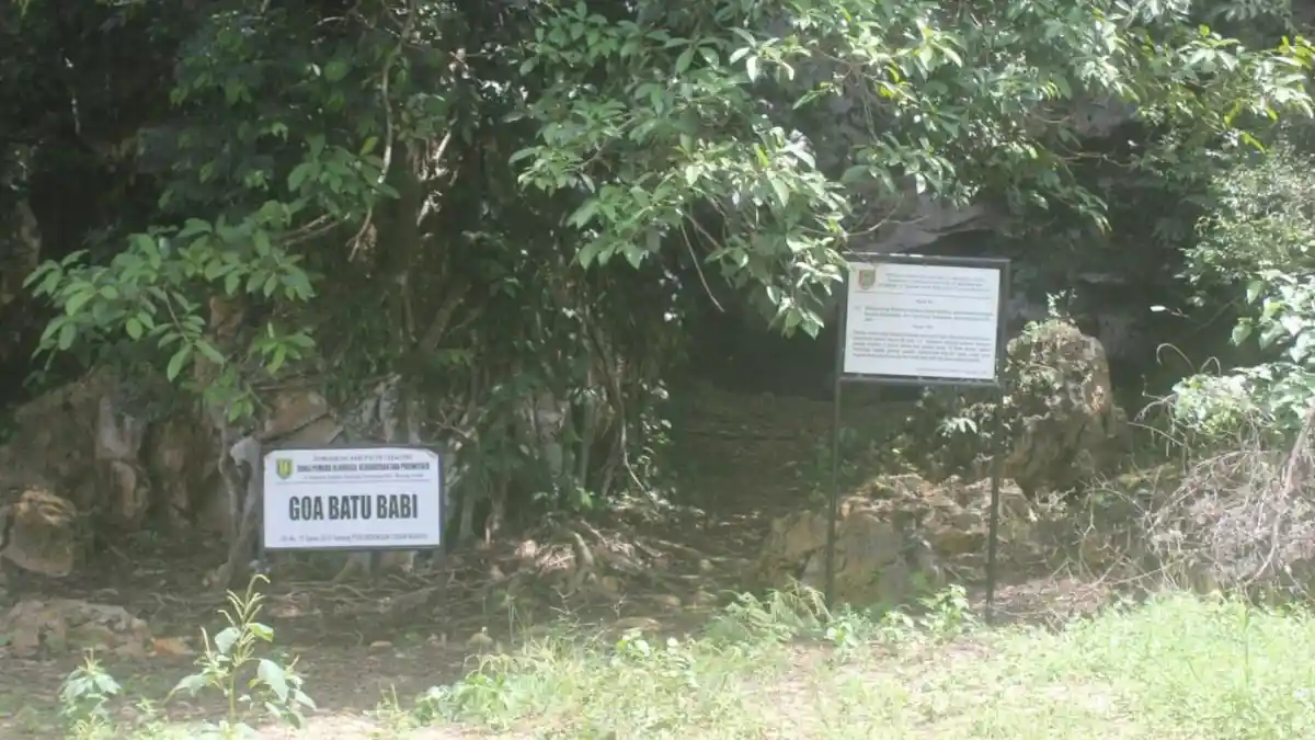 Gua Batu Babi Situs Cagar Budaya di Tabalong dengan Benda Prasejarah