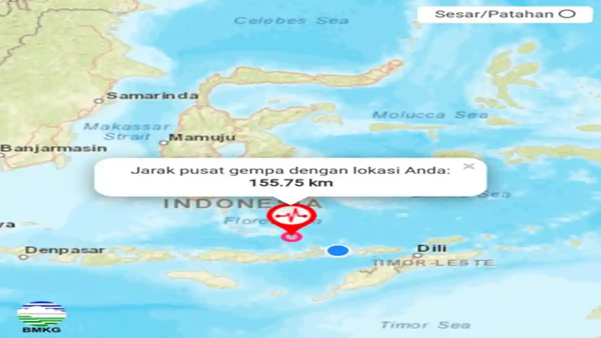 Gempa Guncang Flores M 7,4 Sampai Bikin Warga Panik Takut Tsunami, Ini Penyebabnya Menurut BMKG