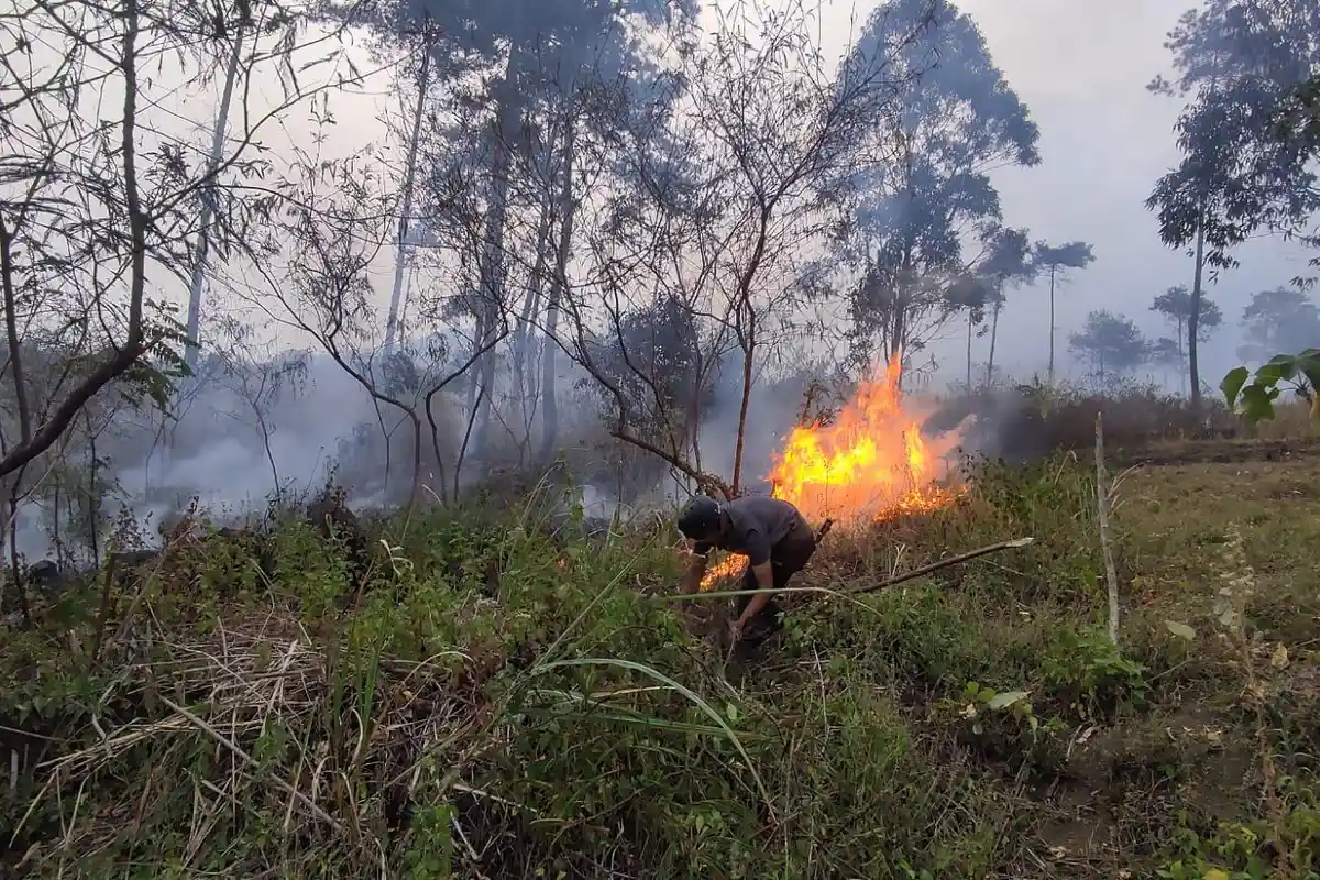 Cerita Warga yang Mendapat Luka Bakar Saat Memadamkan Gunung Guntur, Terjatuh dari Tebing
