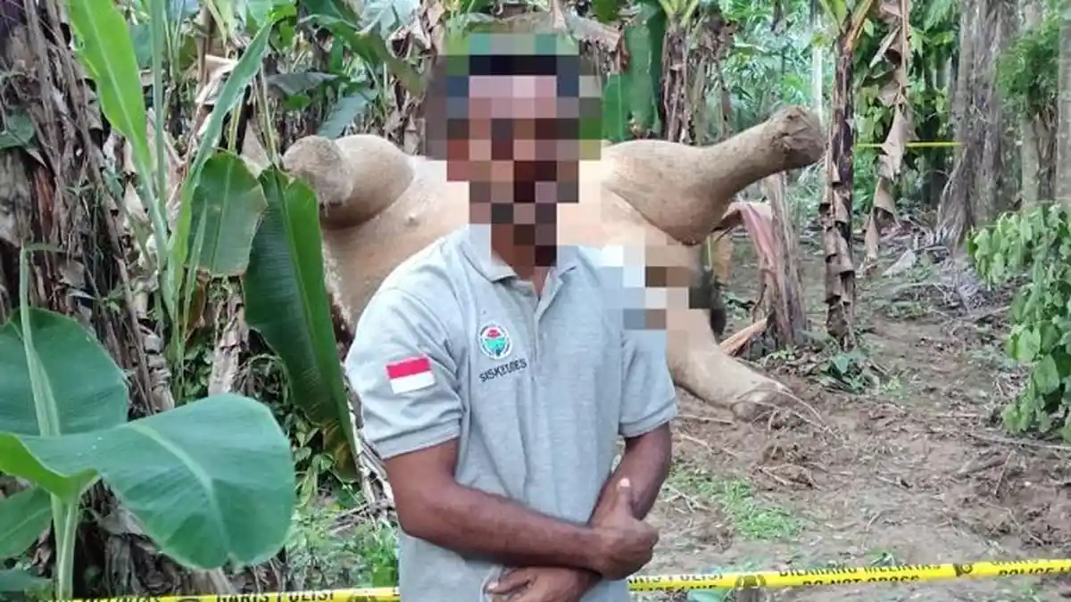 Polisi Tahan Terduga Pelaku Penyebab Kematian Gajah di Pidie Jaya