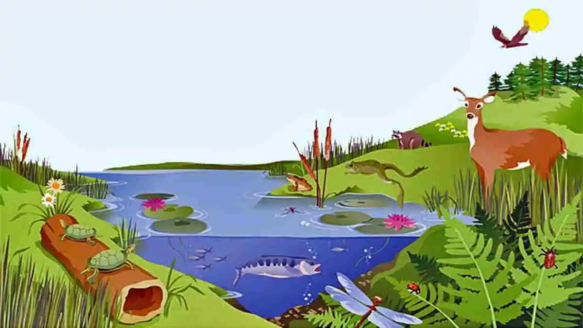 Macam-macam Interaksi dalam Ekosistem, Materi Belajar Biologi Kelas 10