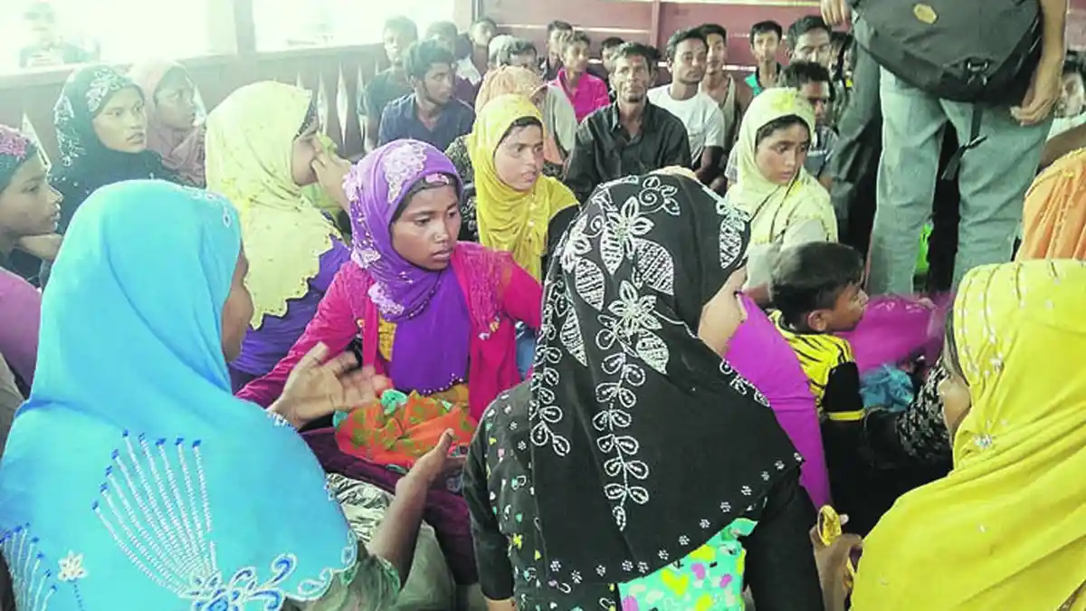 79 Muslim Rohingya  Terdampar di Bireuen