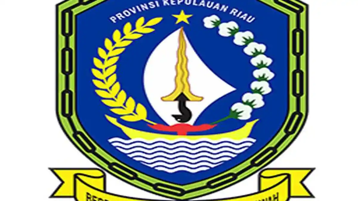 Daftar 7 PSN di Kepri Terbaru, Proyek Strategis Nasional di Batam dan Bintan Tahun 2025-2029