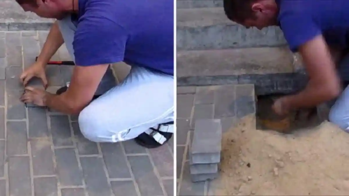Dengar Teriakan dalam Tanah, Pria Ini Bongkar Paving Block dan Lihat yang Ditemukannya!