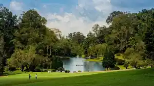 Pesona-Kebun-Raya-Cibodas-yang-Selalu-Menarik-Dikunjungi.jpg