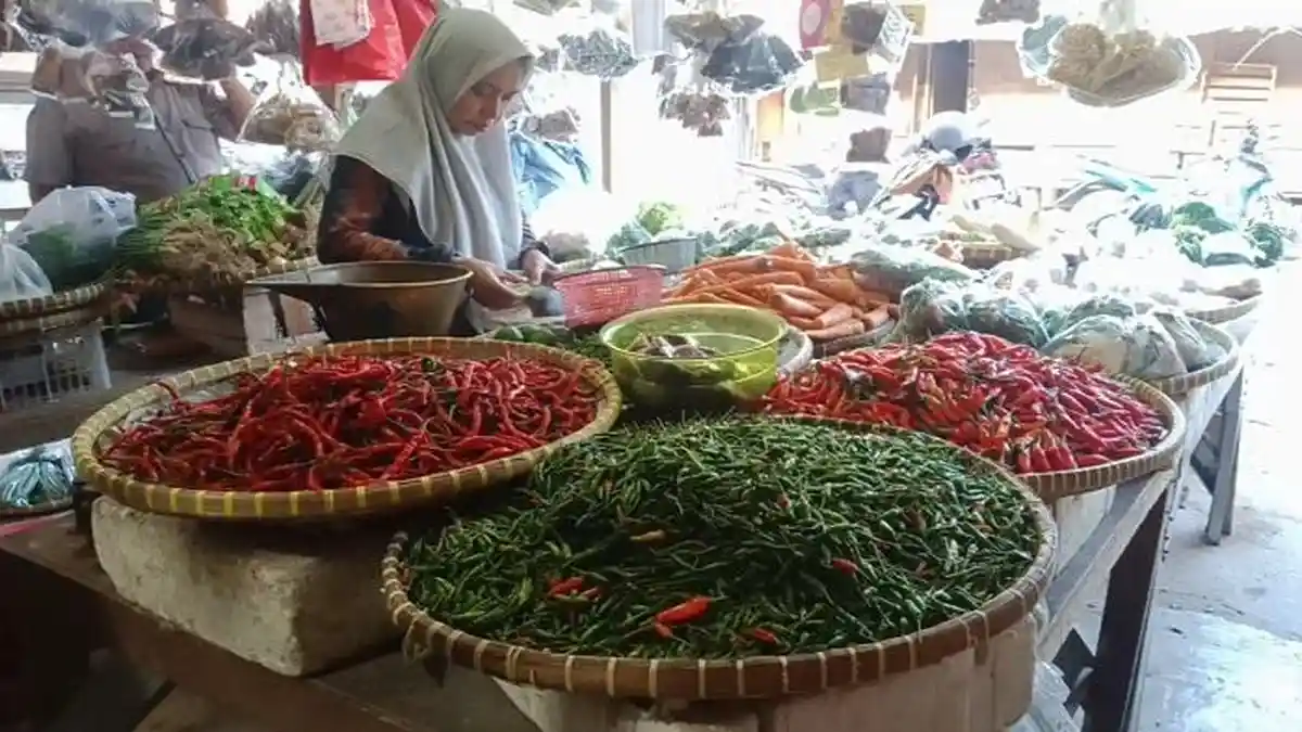 Harga Cabai di Pringsewu Lampung Tembus Rp 100 Ribu per Kg
