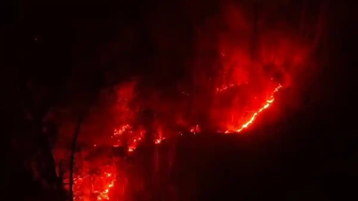 2.171 Hektar Hutan dan Lahan di Fakfak Terbakar, 156 Hotspot Terdeteksi