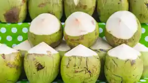 Kelapa-Muda.jpg