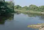 Sungai-Bengawan-Solo-ternyata-menyimpan-kisah-legenda-mengharukan.jpg