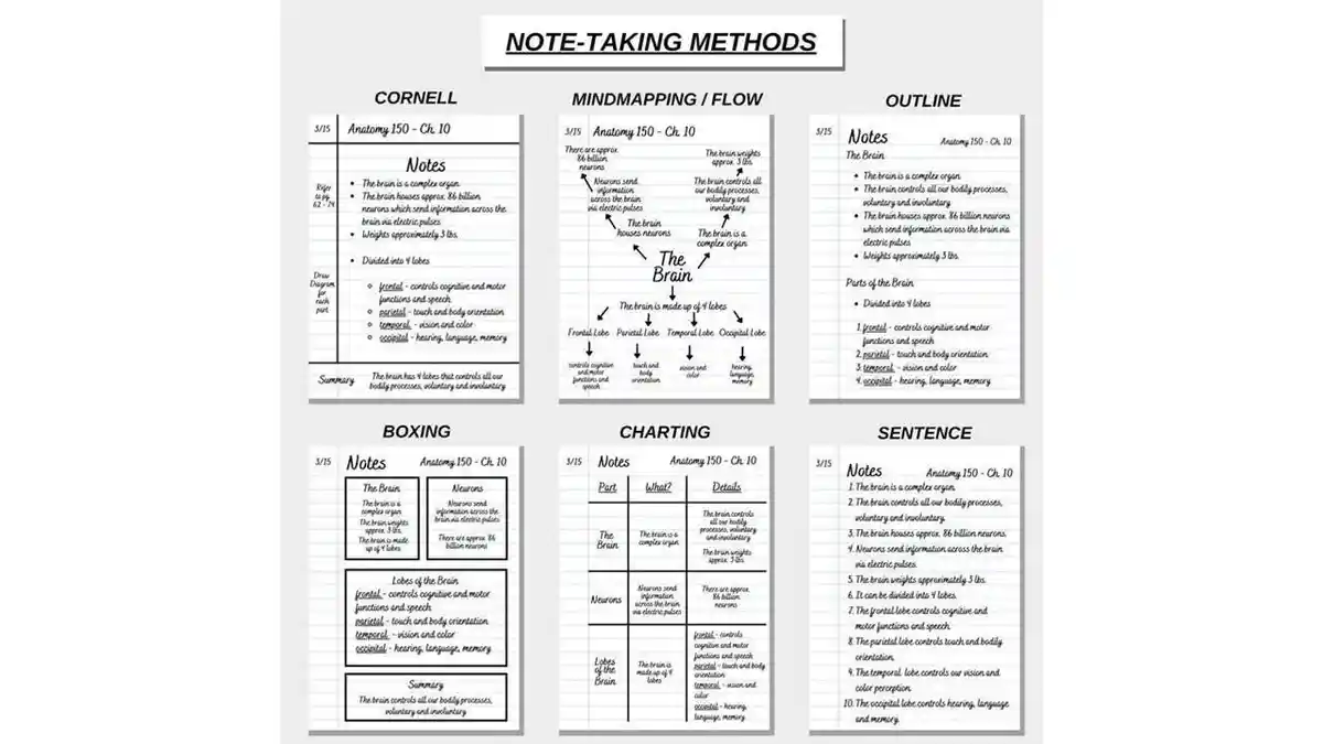 5 Metode Mencatat Efektif bagi Pelajar agar Belajar Lebih Terstruktur