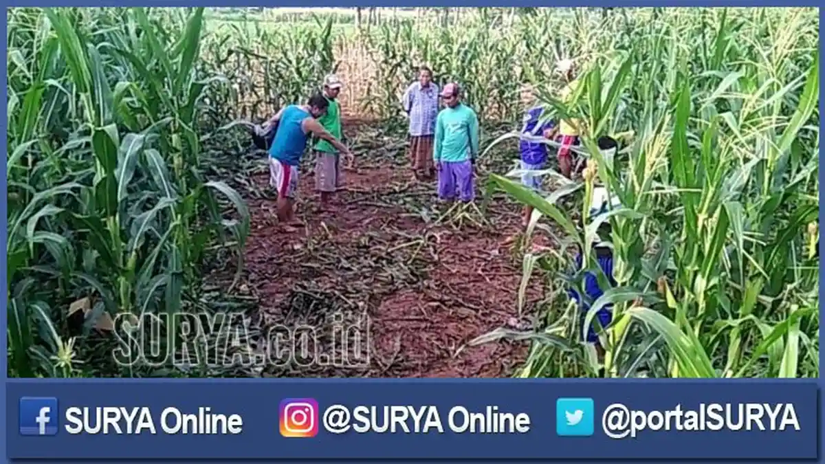 Pasca Penyergapan Terduga Teroris di Tuban, Bupati dan Kapolda Jatim Bertemu