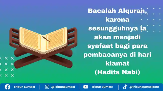 Tribun