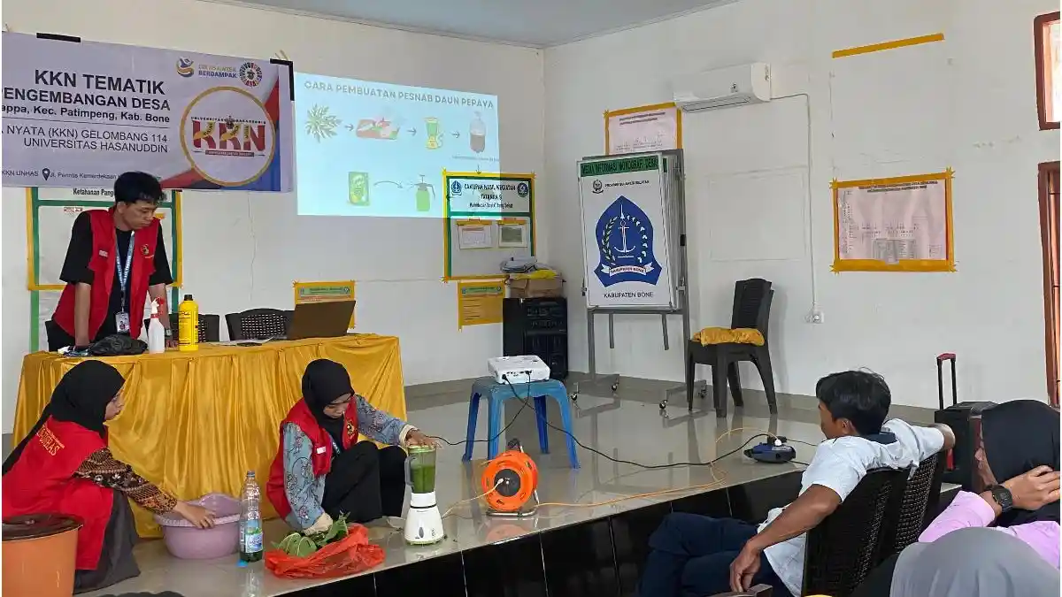 Mahasiswa Unhas Ajari Warga Bone Bikin Pestisida dari Daun Pepaya