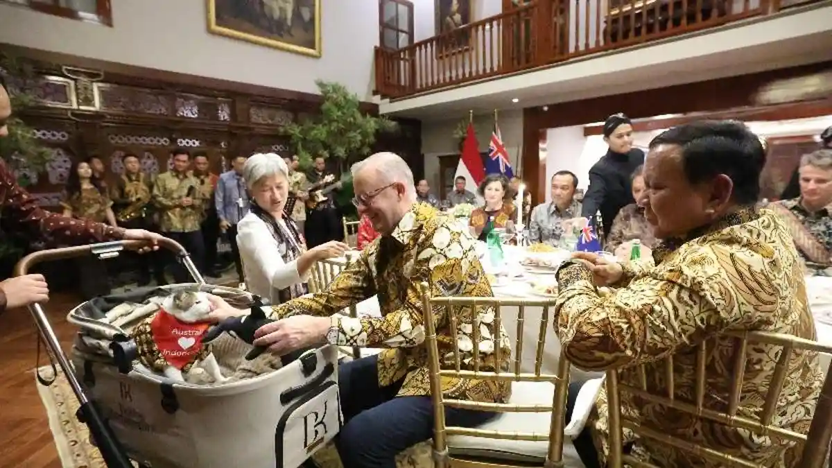 Intip Momen Menggemaskan Bobby Kucing Prabowo Saat Bersama PM Australia