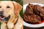 Geger-RUMAH-MAKAN-di-Riau-Olah-Daging-Anjing-Jadi-Rendang-Kini-Pemiliknya-Ditangkap.jpg