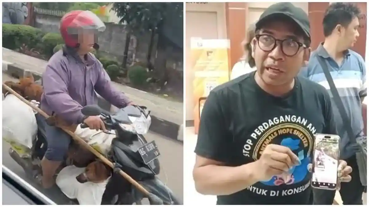 Viral Pemotor di Palembang Bawa 8 Anjing Dalam Karung dan Mulut Diikat, Pecinta Hewan Lapor Polisi