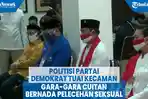 politisi-partai-demokrat-tuai-kecaman-warganet-gara-gara-cuitan-bernada-pelecehan-seksual.jpg