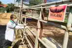 RPH Ciroyom Siapkan Ruang Isolasi Untuk Hewan Ternak