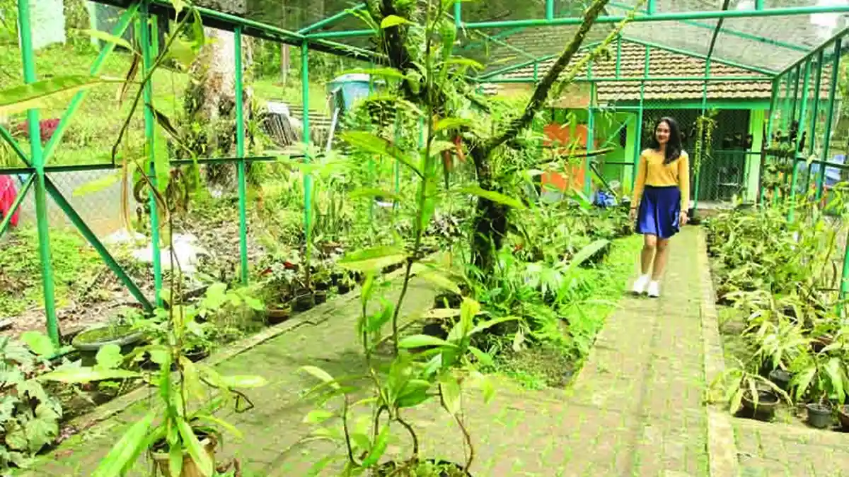 Yuk Wisata Menikmati Flora dari Sebelas Gunung di  Kebunraya Baturraden - kebunraya-baturraden_20170415_132534.jpg