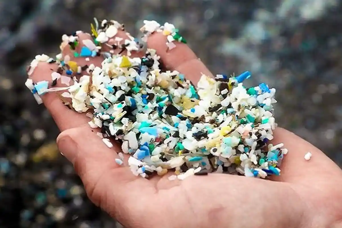 Parasit Berbahaya Bisa Menumpang pada Mikroplastik dan Membahayakan Manusia