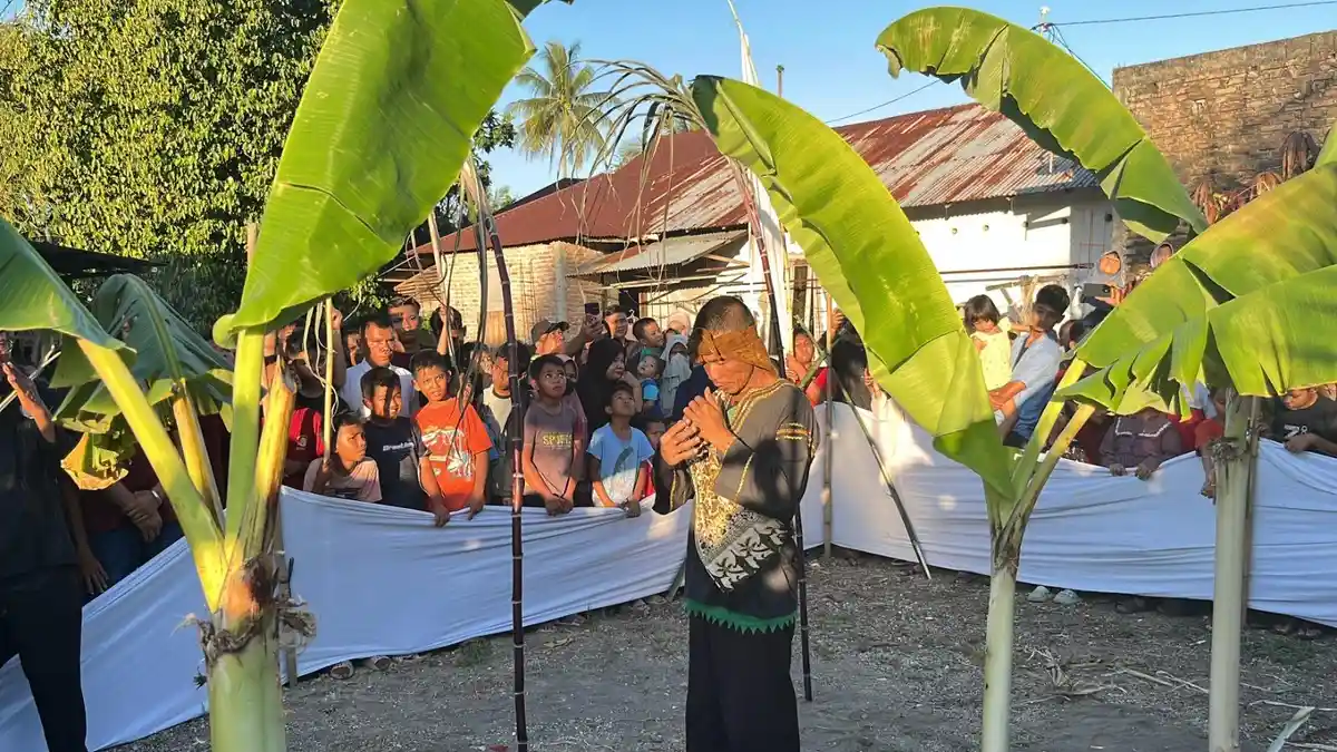 Prosesi "Maambiak Batang Pisang" dalam Rangkaian Festival Tabuik 2025, Hanya Sekali Tebasan