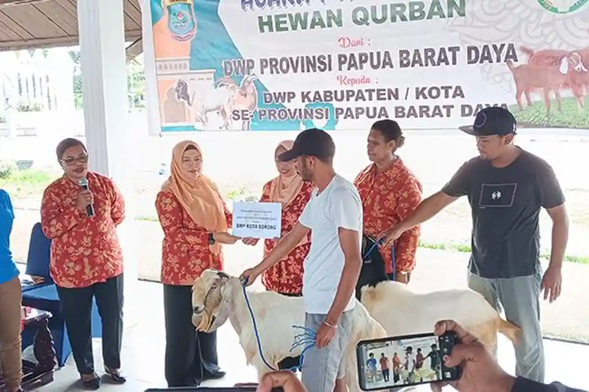 DWP Papua Barat Daya Sebar 12 Ekor Kambing Kurban, Sari Khoirini: Tahun Depan Kami Upayakan Sapi