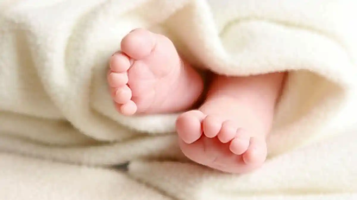 Bidan di Delitua Otaki Perdagangan Bayi