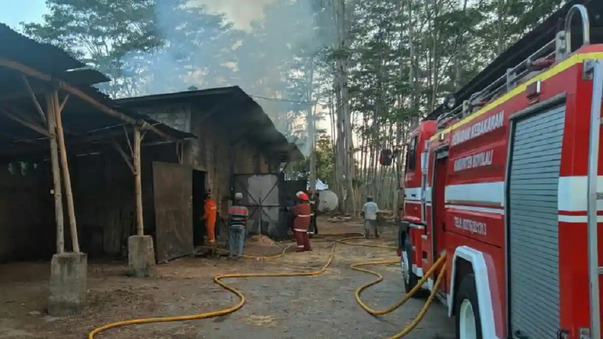 Cara Memanggil Petugas Pemadam Kebakaran, Tidak Dipungut Biaya