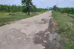 JALAN-RUSAK-Kondisi-jalan-di-Desa-Podoroto-Kecamatan-Kesamben-Kabupaten.jpg