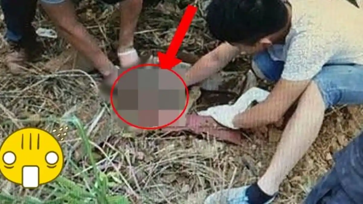 Warga Syok Temukan Bayi Mungil Didalam Hutan, Video Penampakannya Mengerikan!