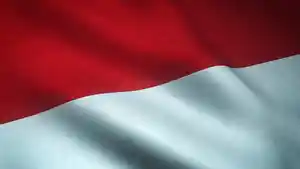 Bendera-Indonesia-Merah-Putih.jpg