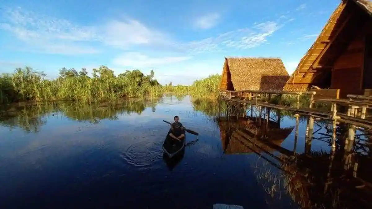 Tebat Rasau, Sungai Purba yang Memiliki Banyak Biota Laut, Termasuk ...
