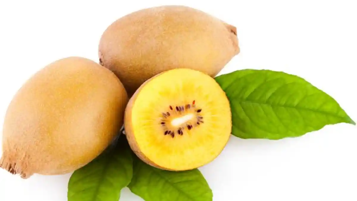 Jenis Makanan Berserat Tinggi yang Baik untuk Mencegah Ambeien dan Wasir