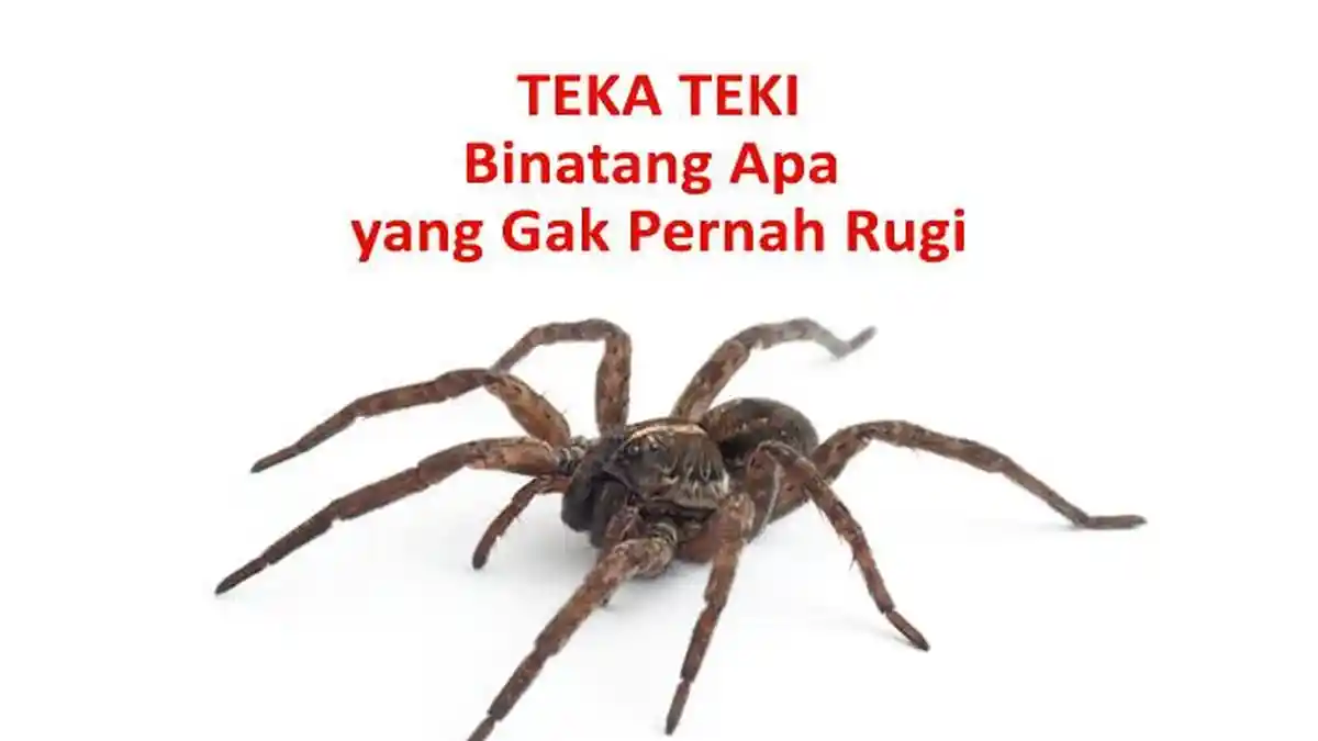 Binatang Apa yang Gak Pernah Rugi di Teka Teki TTS atau Tebak Tebakan Hewan Menjebak?