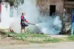 Tim-penyemprot-Fogging-Dinkes-Pasangkayu-saat-bertugas-di-Jalan-Moh-Hatta-Pasangkayu.jpg