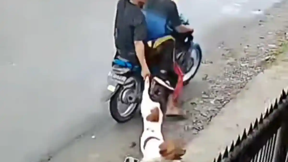 Pencuri Anjing di Tembung Belum Ditangkap, Polisi Duga Dua Pelaku Sudah Kabur ke Luar Kota