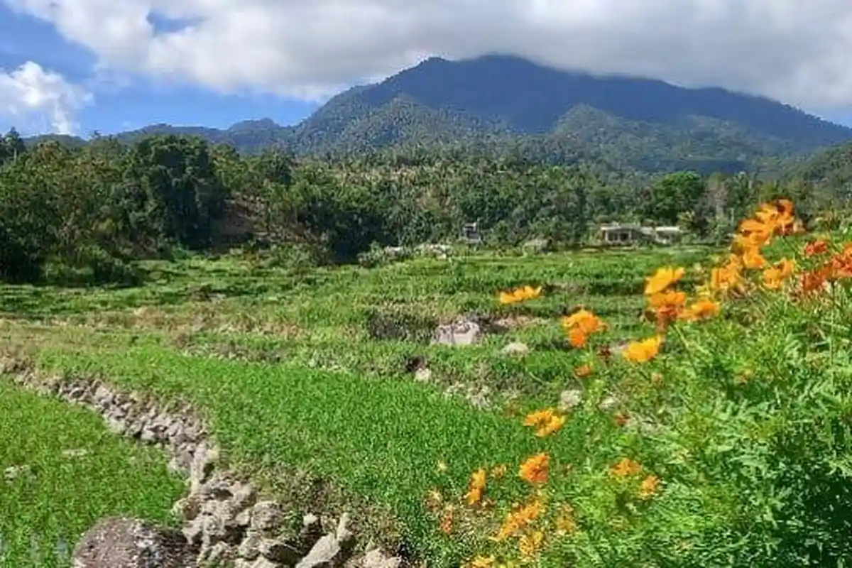 Prakiraan Cuaca Jumat 14 November 2025, Waspada Hujan Lebat di Lima Puluh Kota pada Dini Hari