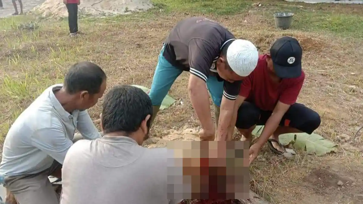 Adab Penyembelihan Hewan Kurban, Ini Arti Bismillahi Wallahu Akbar Ketika Menyembelih