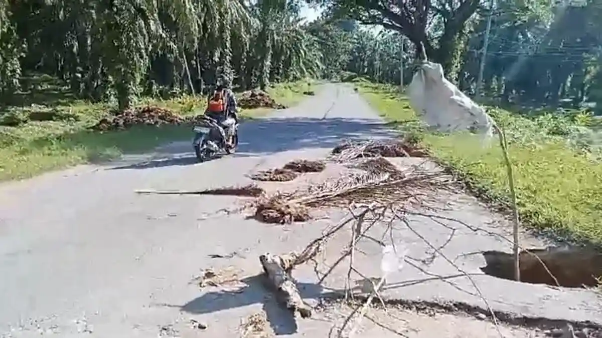 Jalan Trans Sulawesi di Desa Doda Pasangkayu Makin Membahayakan, Ini Penampakannya