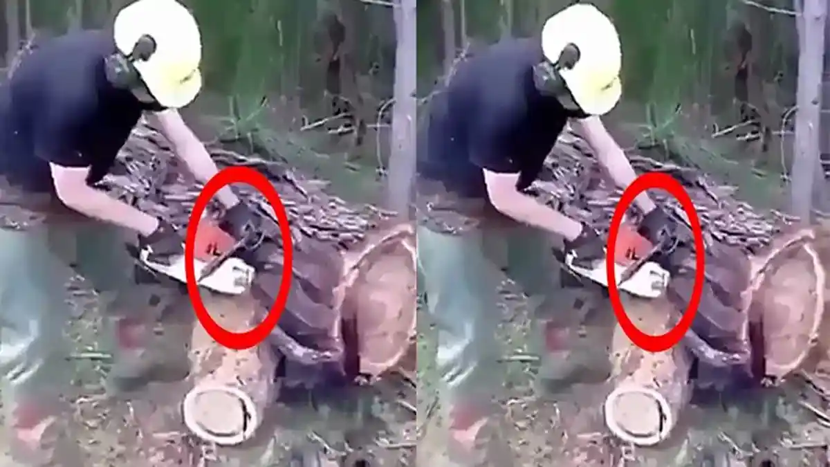 Mabuk, Pria Ini Merasa Memotong Pohon Kelapa, Ternyata yang Dipotong Leher Keponakannya