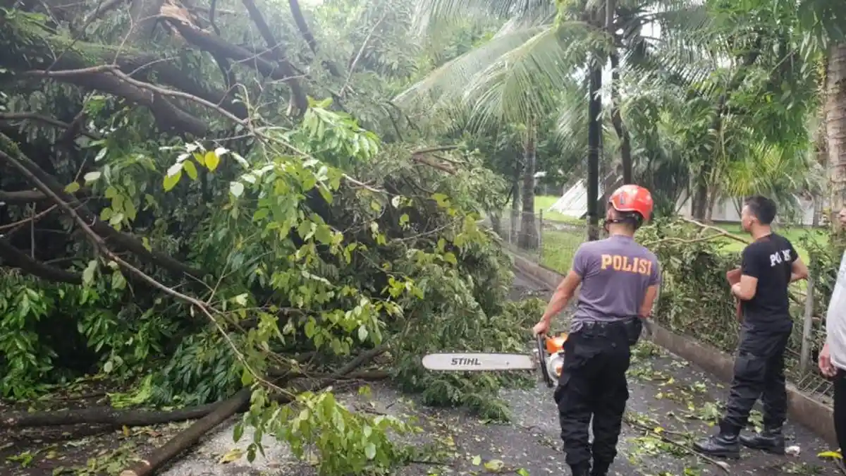 Sabhara Polda Sulut Bersihkan Pohon Tumbang di Unsrat